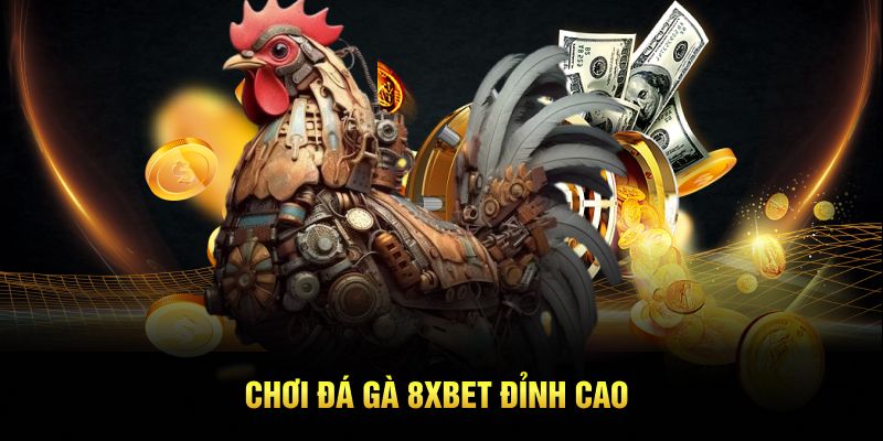 Review 8XBET – Đánh Giá Khách Quan Từ Luongson TV 4 Chơi đá gà 8XBET đỉnh cao