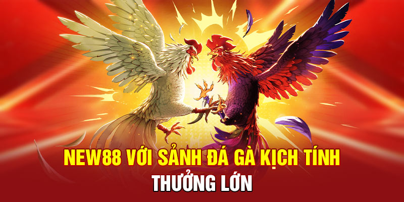 NEW88 – Nền Tảng Cá Cược Hàng Đầu: Cơ Hội Thắng Lớn 4 NEW88 với sảnh đá gà kịch tính, thưởng lớn