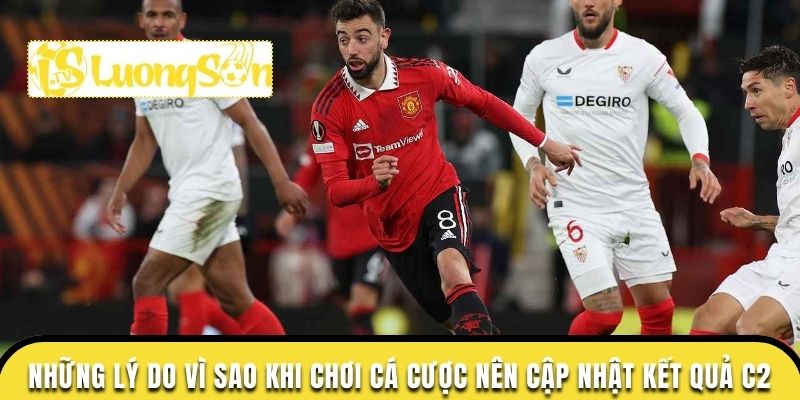 Kết Quả C2 Cập Nhật Mới Nhất và Những Điều Cần Biết 3 Kinh nghiệm cho theo dõi chuẩn xác khi cập nhật kết quả c2